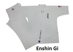 Enshin Gis Japanese Style